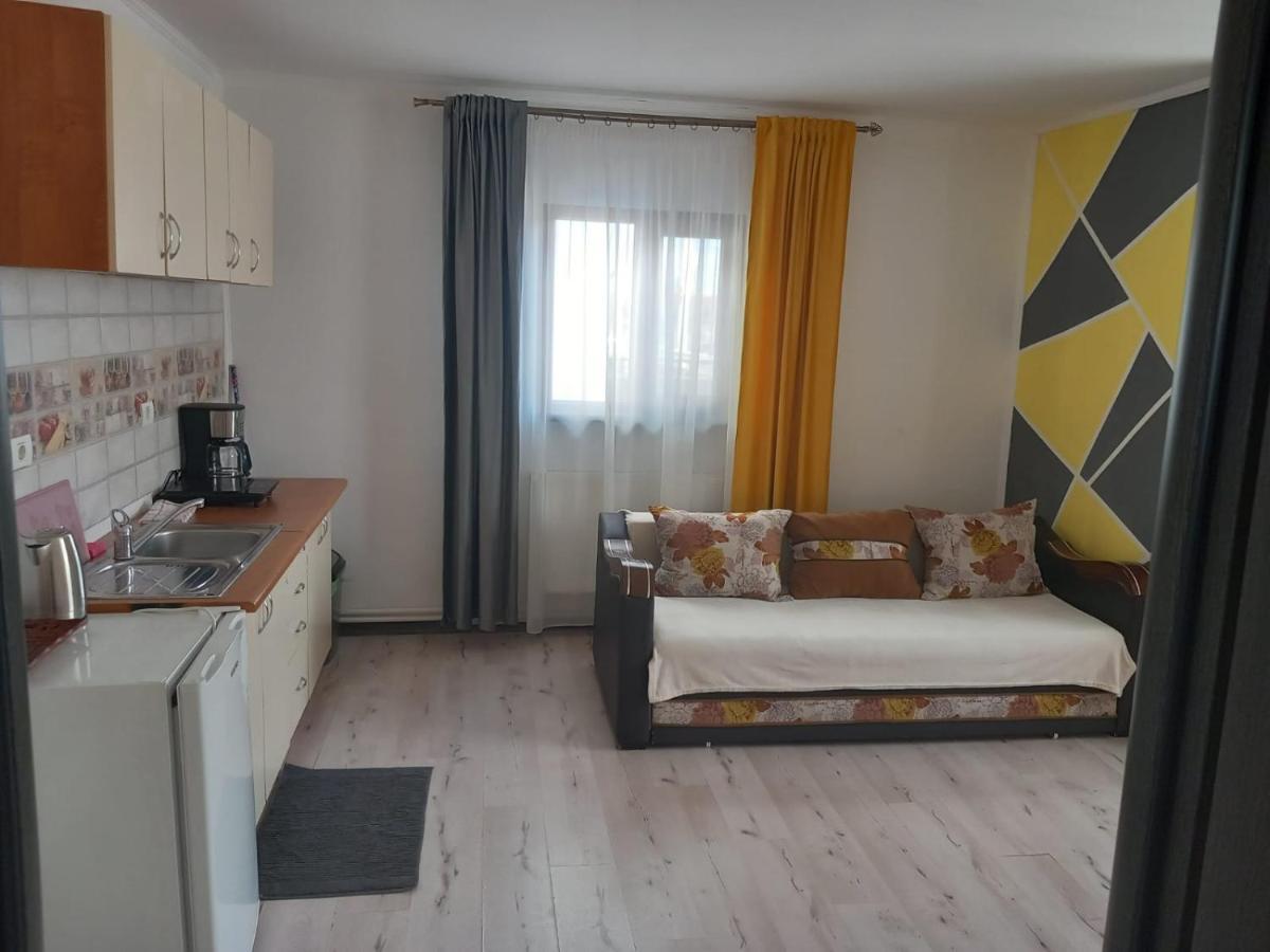 Casa Davison Appartement Târgu Jiu Buitenkant foto