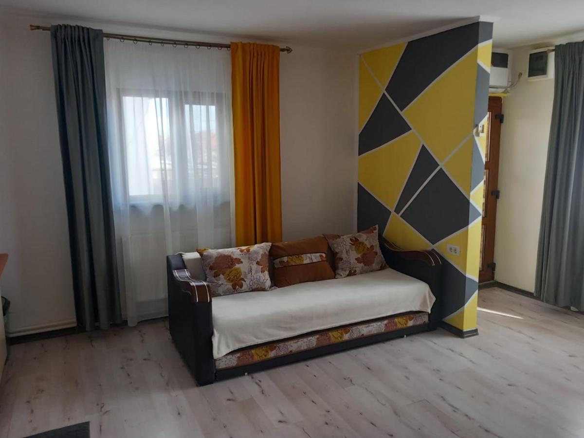 Casa Davison Appartement Târgu Jiu Buitenkant foto