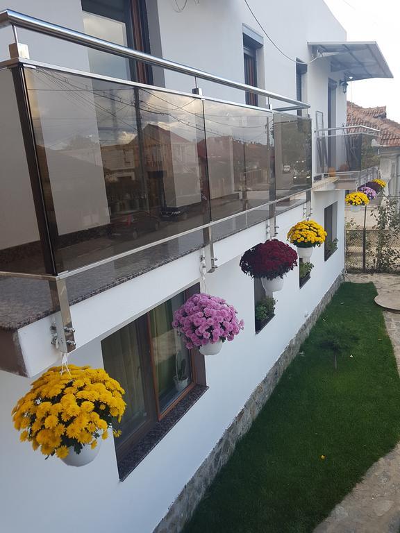 Casa Davison Appartement Târgu Jiu Buitenkant foto