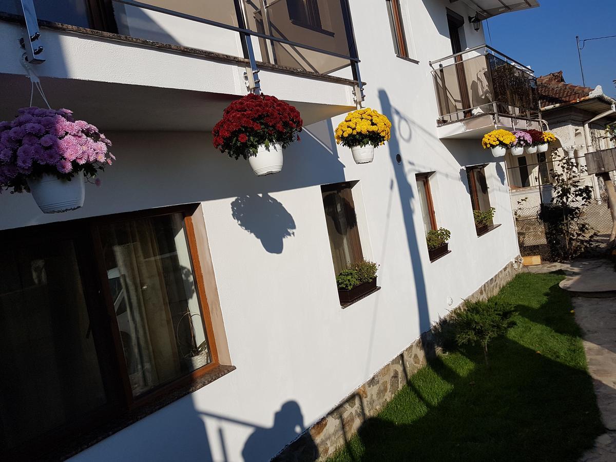 Casa Davison Appartement Târgu Jiu Buitenkant foto
