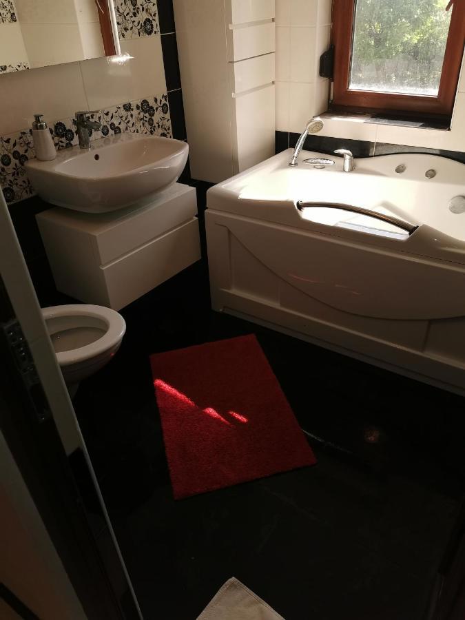 Casa Davison Appartement Târgu Jiu Buitenkant foto